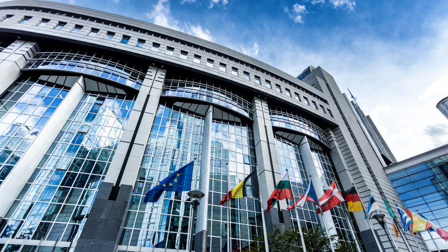Portem al Parlament Europeu el bloqueig pol&iacute;tic a Espanya i aconseguim que la petici&oacute; es mantingui oberta amb el suport un&agrave;nime dels grups pol&iacute;tics